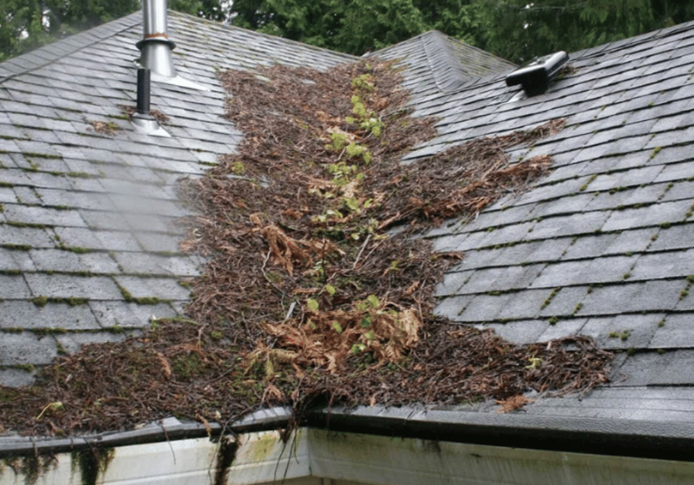 Clear Debris Regularly