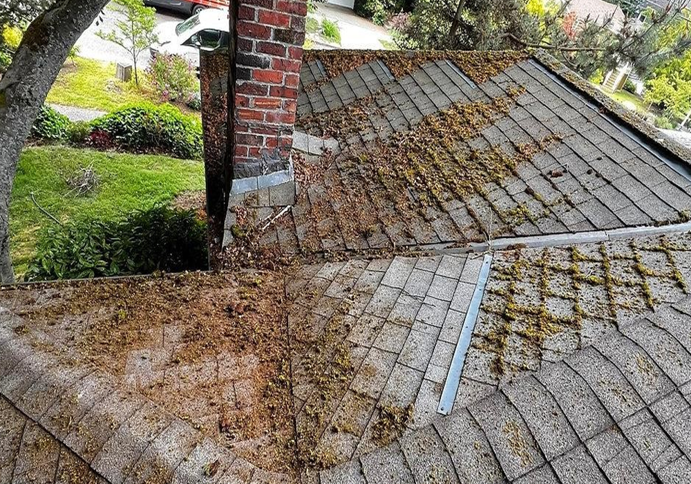 Post-Storm Roof Cleanup: Clear Debris Safely | Roof Tip